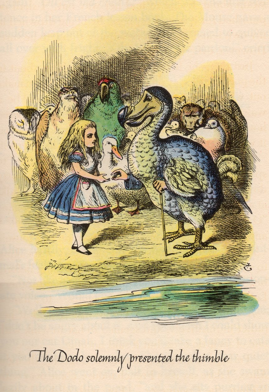 Alice Harikalar Diyarında Lewis Carroll, Resimleyen John Tenniel by Unbekannt