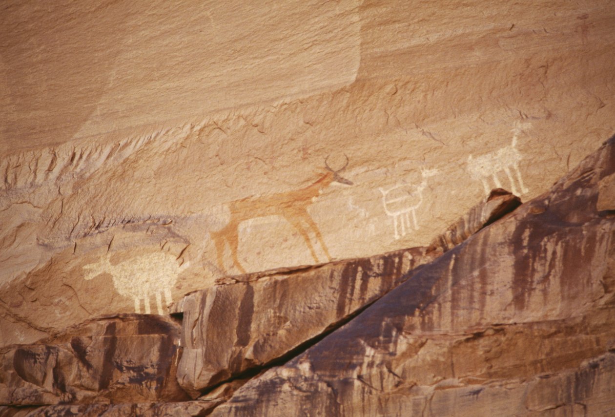Hayvan figürleri, Navajo sanatçılarının kaya resimleri, Canyon de Chelly Ulusal Anıtı, Navajo Indian Reservation, Arizona, ABD by Benjamin Baud
