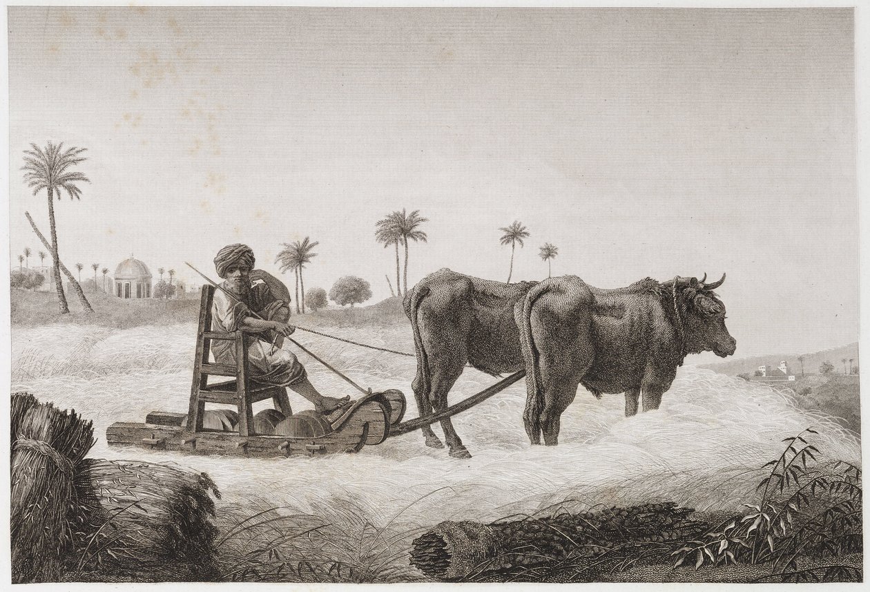 Ekilebilir Tarım, Hasat Harman makinesi, Mısır, c 1798 by Unbekannt