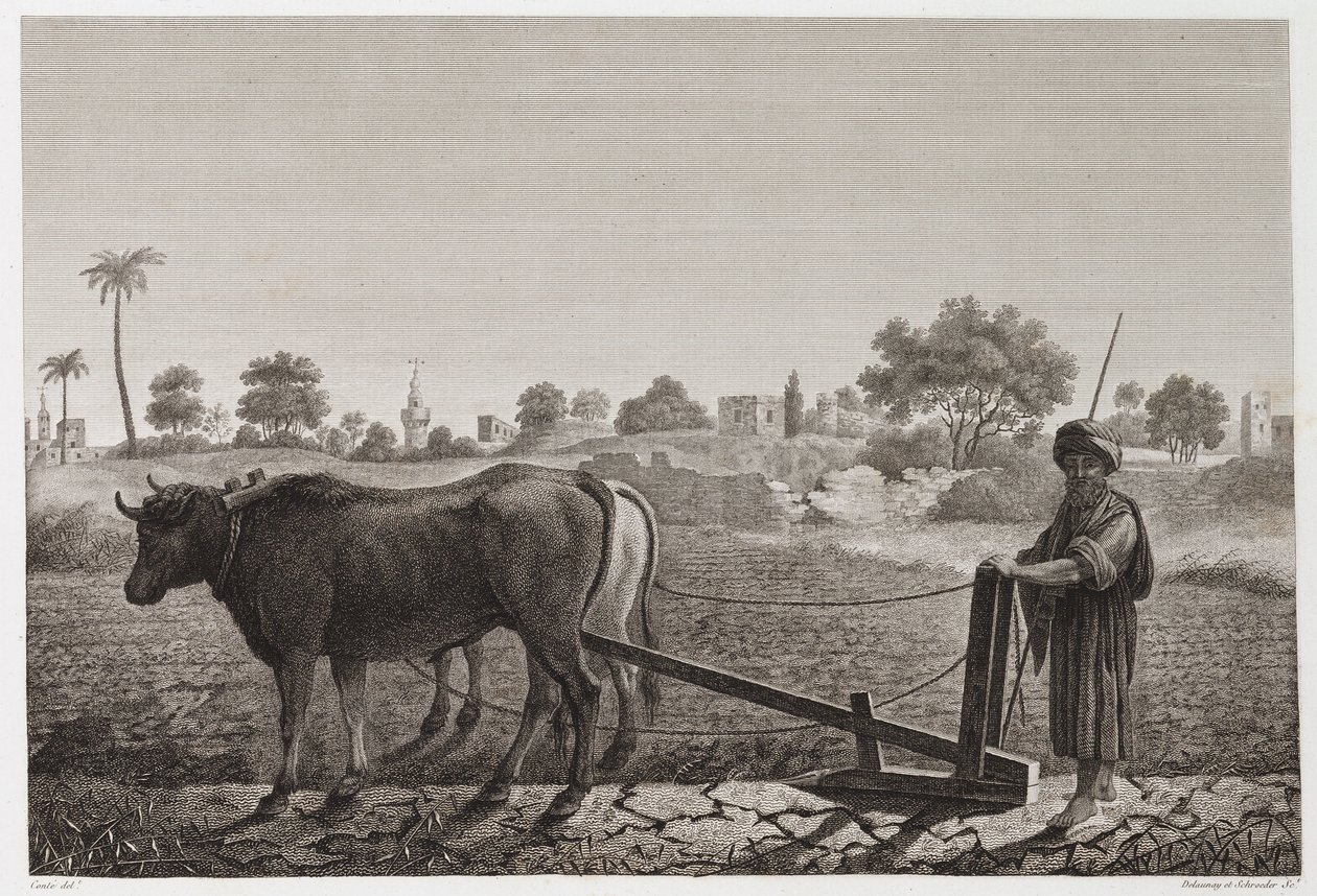 Tarla Tarımı, Çiftçilik Öküzlü Çiftçilik, Mısır, c 1798 by Unbekannt