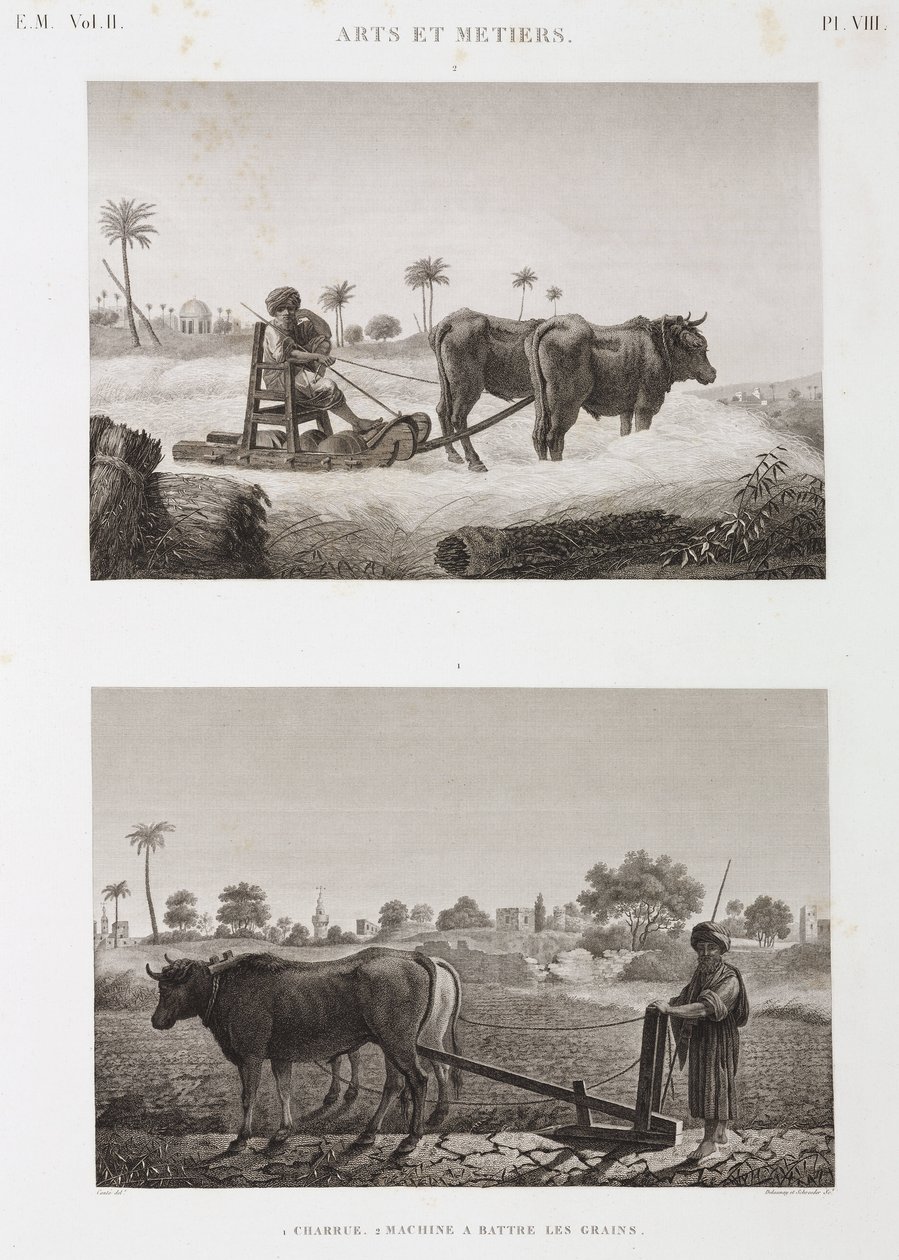 Tarla Tarımı, Çiftçilik Harman makinesi ve saban, Mısır, c 1798 by Unbekannt