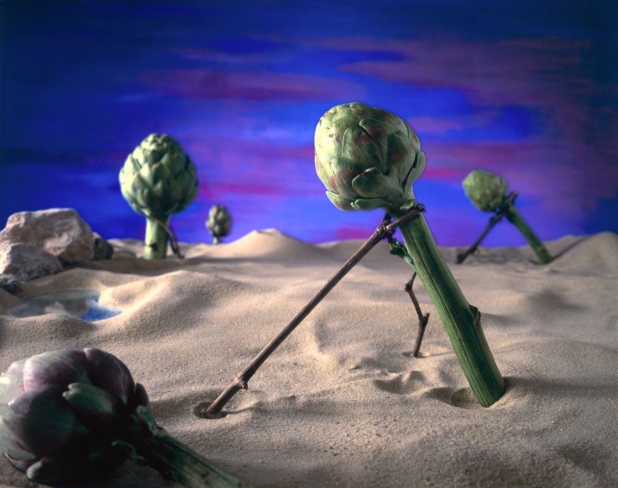 Art-ichoke (Dali) 1996 (fotoğraf) by Unbekannter Künstler