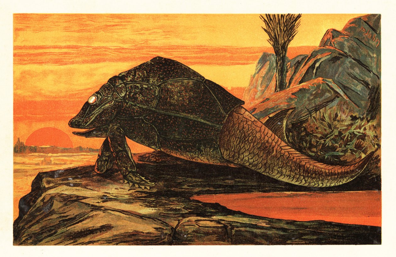 Asterolepis cornutus, nesli tükenmiş zırh kaplı balık türleri.1908 (litografi) by Unbekannter Künstler