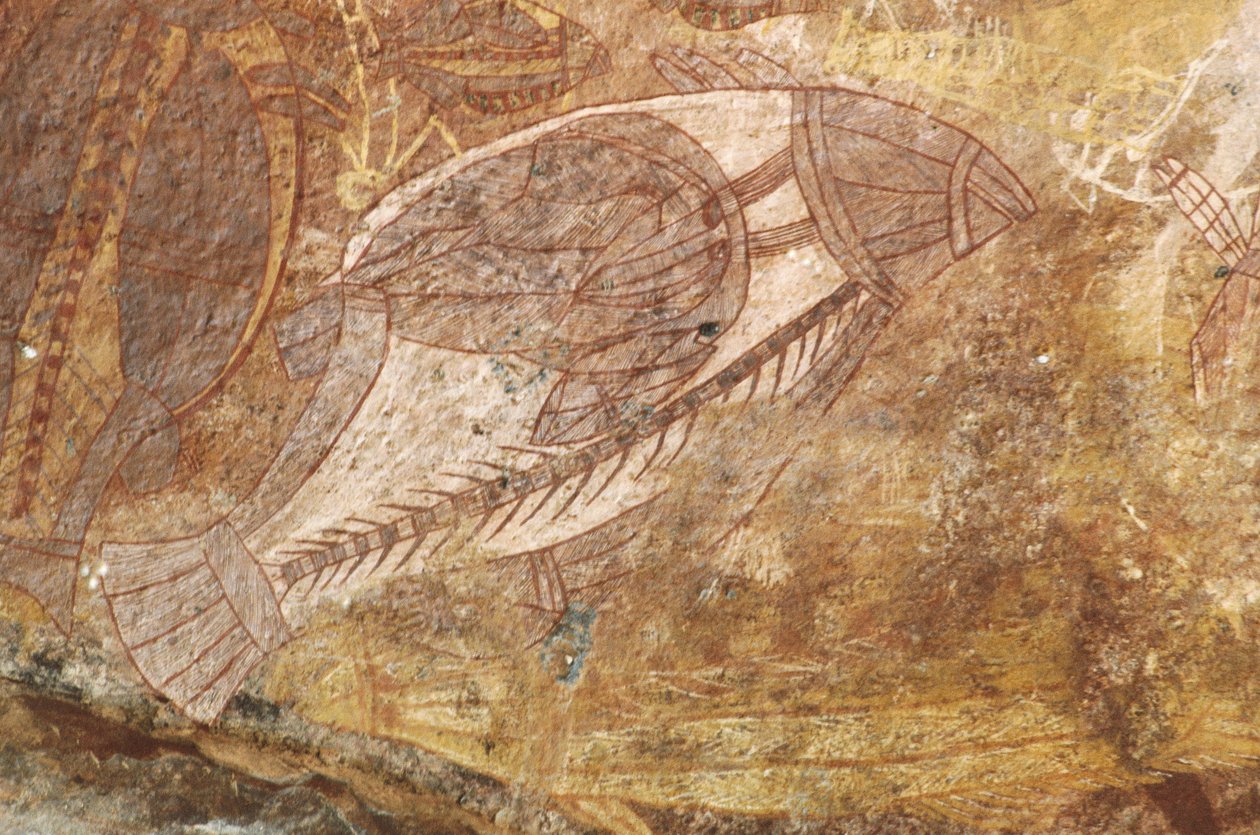 Avustralya, Kuzey Bölgesi, Arnhem Ülkesi, Kakadu Ulusal Parkı, Obiri Kayası, Aborijin kaya resimleri by Benjamin Baud