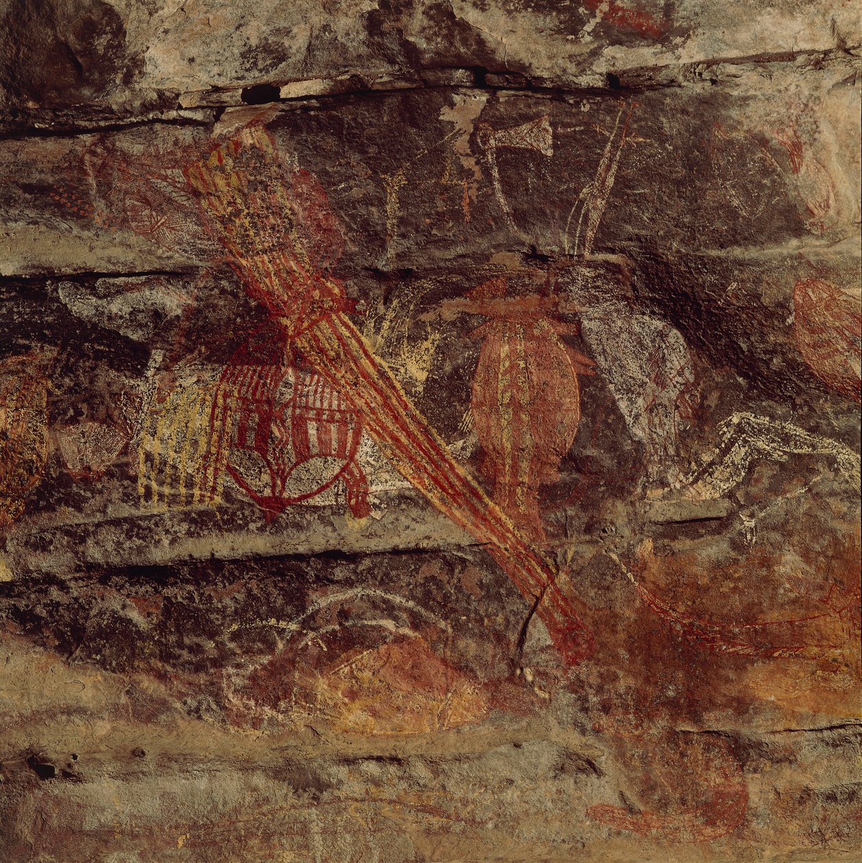Avustralya, Kuzey Bölgesi, Arnhem Ülkesi, Kakadu Ulusal Parkı, Obiri Kayası, Aborijin kaya resimleri by Benjamin Baud