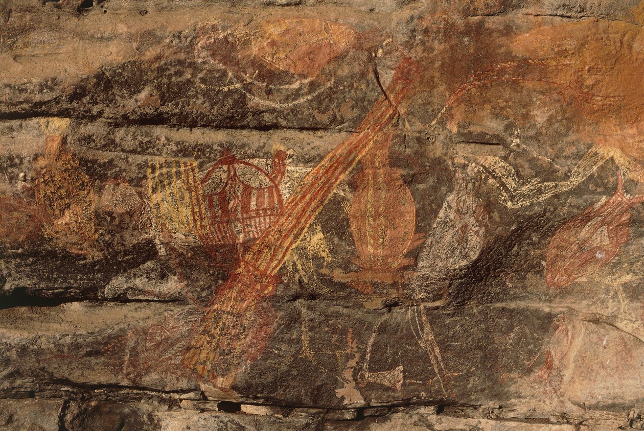 Avustralya, Kuzey Bölgesi, Arnhem Ülkesi, Kakadu Ulusal Parkı, Obiri Kayası, Aborijin kaya resimleri by Benjamin Baud