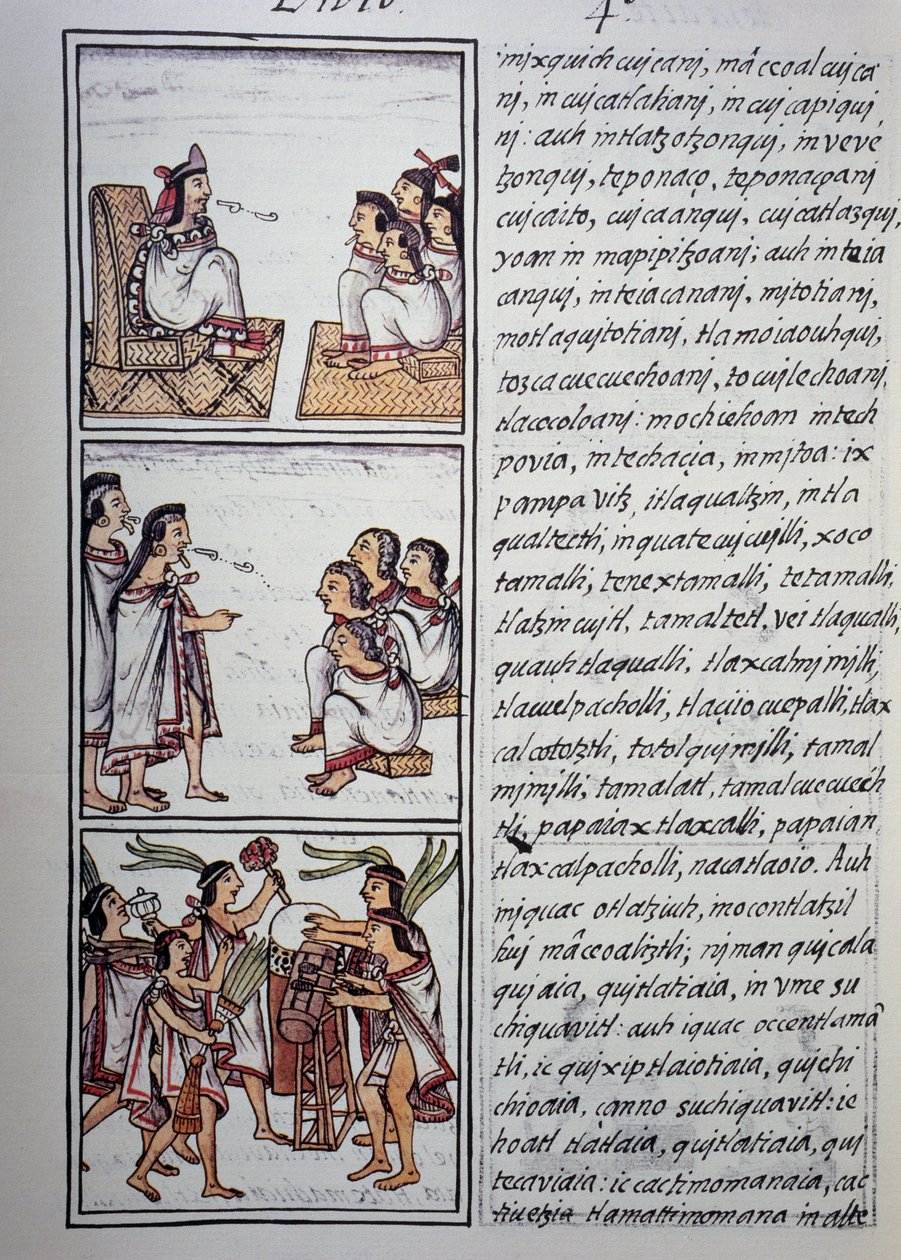 Aztek toplumu, Florentine Codex