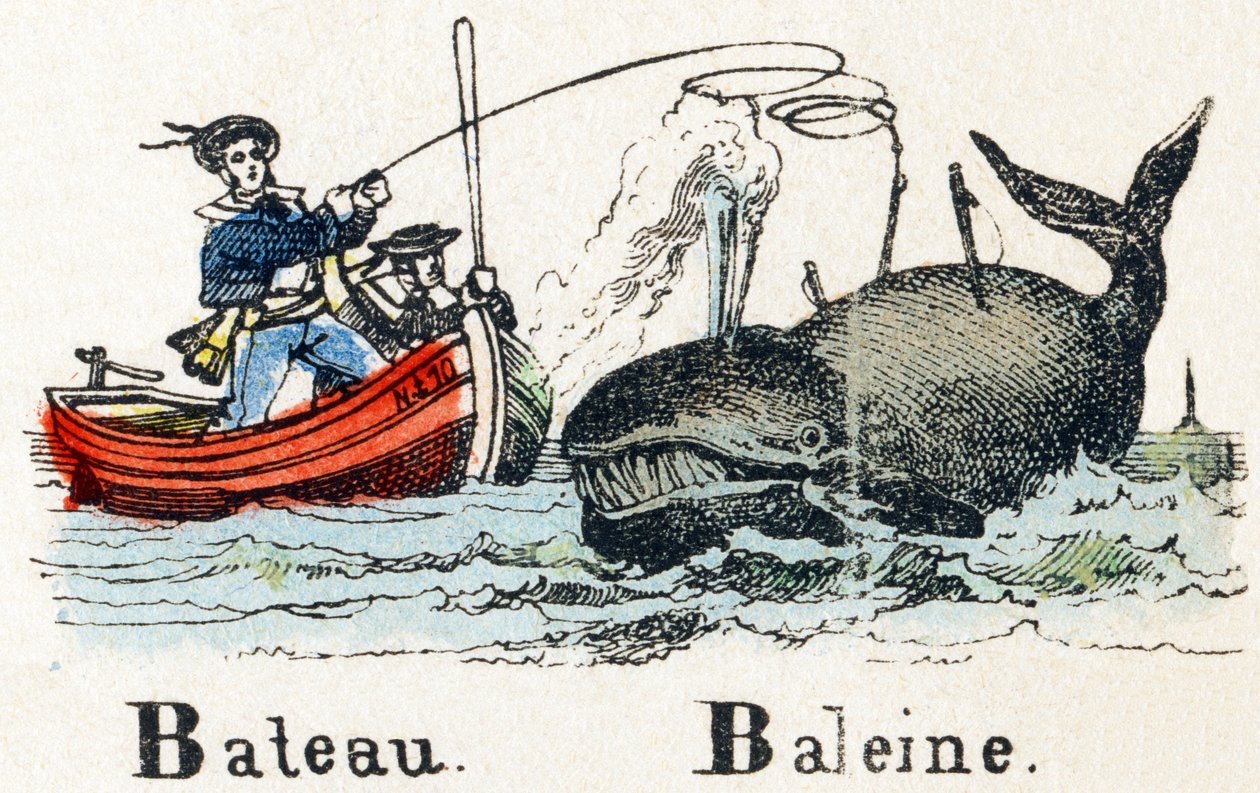 B - Balina Teknesi - Alfabe - çocuk eğlencesi - Görüntü epinal, popüler seri c.1890 (illüstrasyon) by Unbekannt