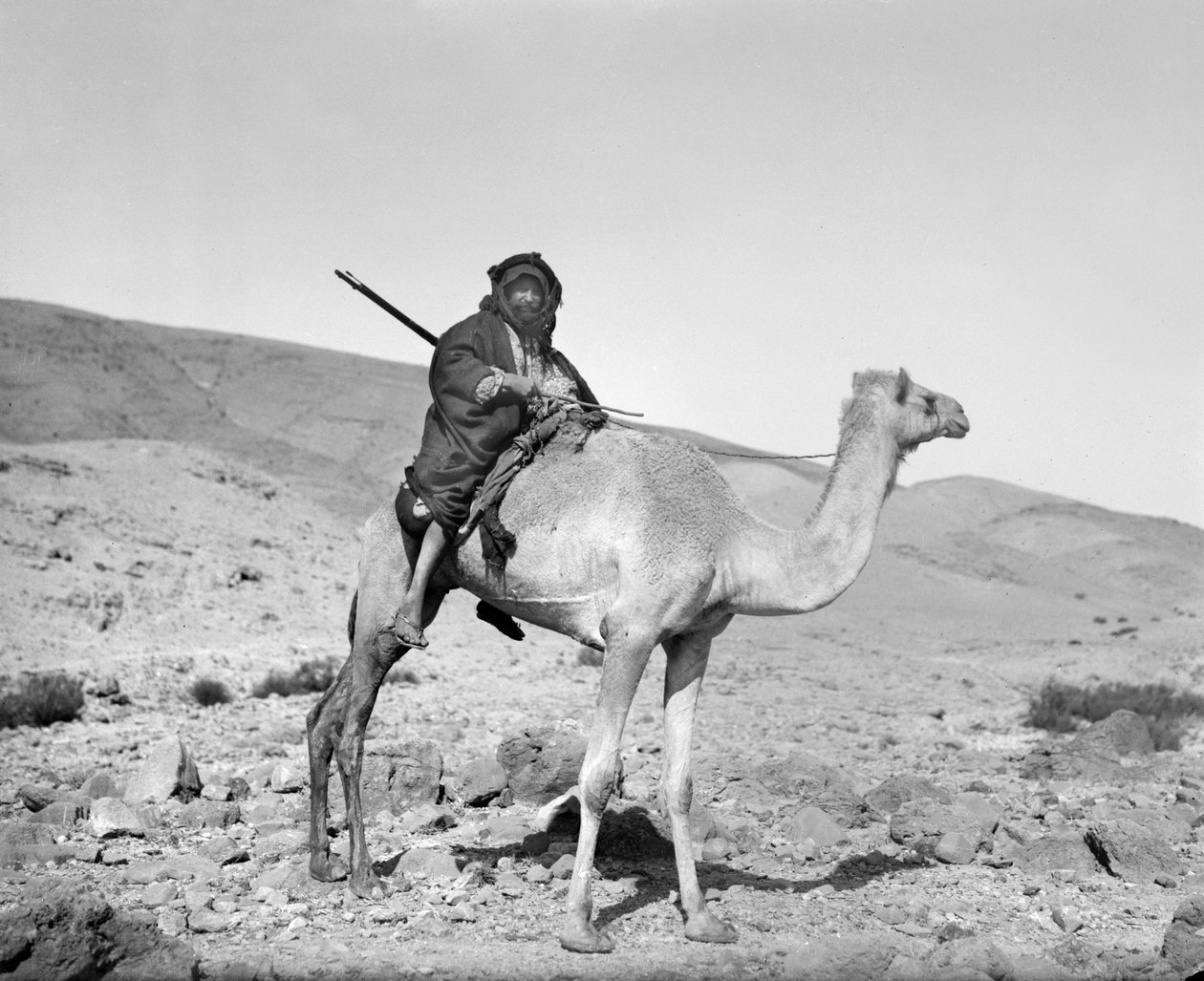 Deveye binen bedevi, 1936 dolayları (s/b fotoğraf) by Unbekannt
