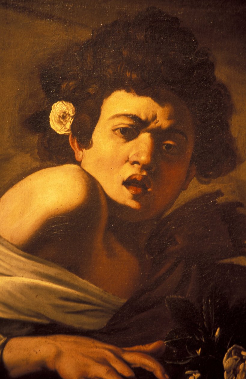Kertenkele tarafından ısırılan çocuk (detay), Caravaggio sanat eseri, Palazzo Ducale, Cenova, Liguria, İtalya by Unbekannt