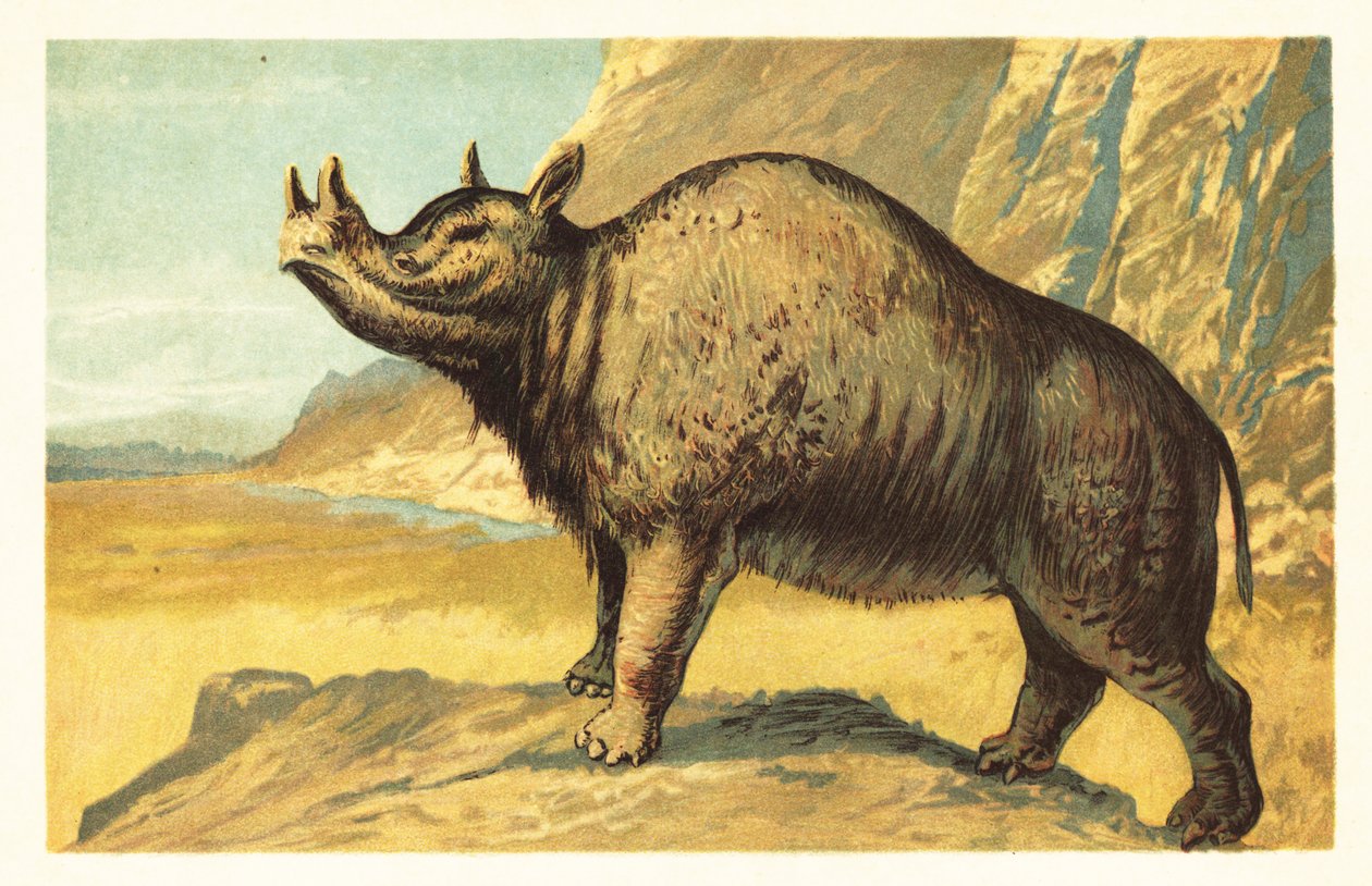 Brontops robustus veya Megacerops robustus.1908 (litografi) by Unbekannter Künstler