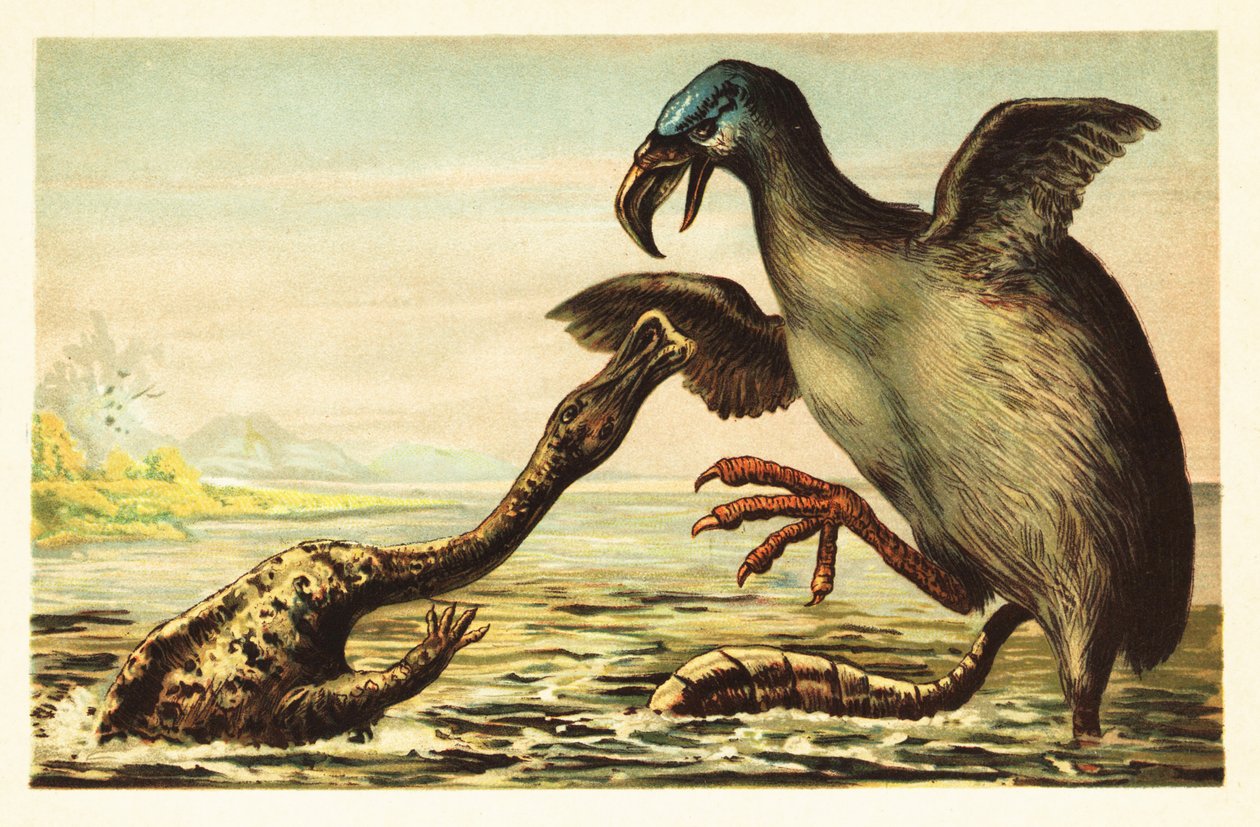 Brontornis bir Hadrosaurus ile savaşıyor. 1908 (litografi) by Unbekannter Künstler