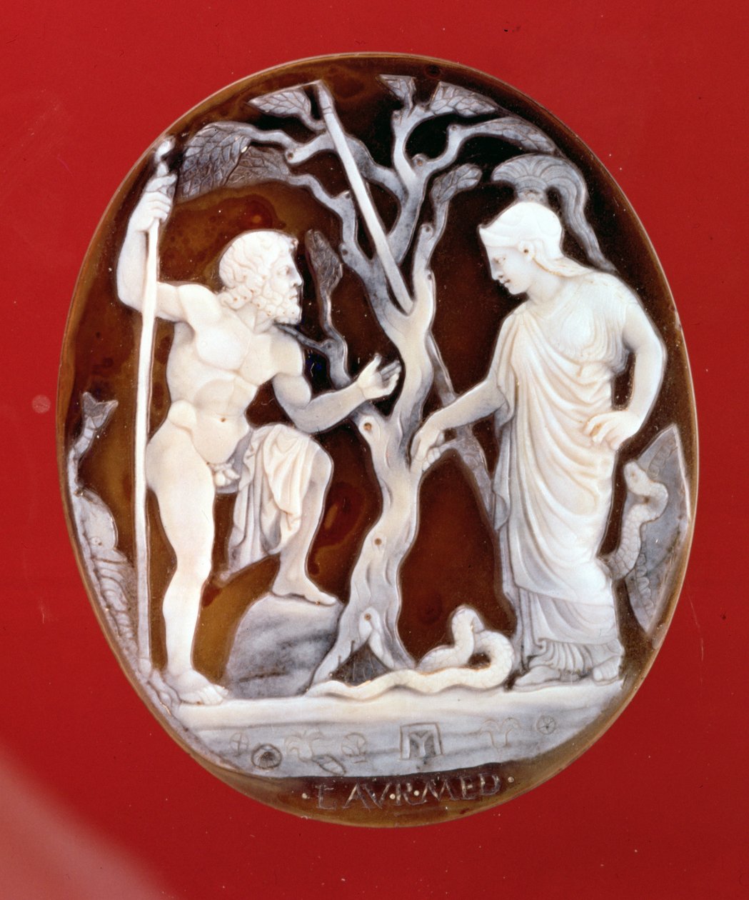 Poseidon ve Athena