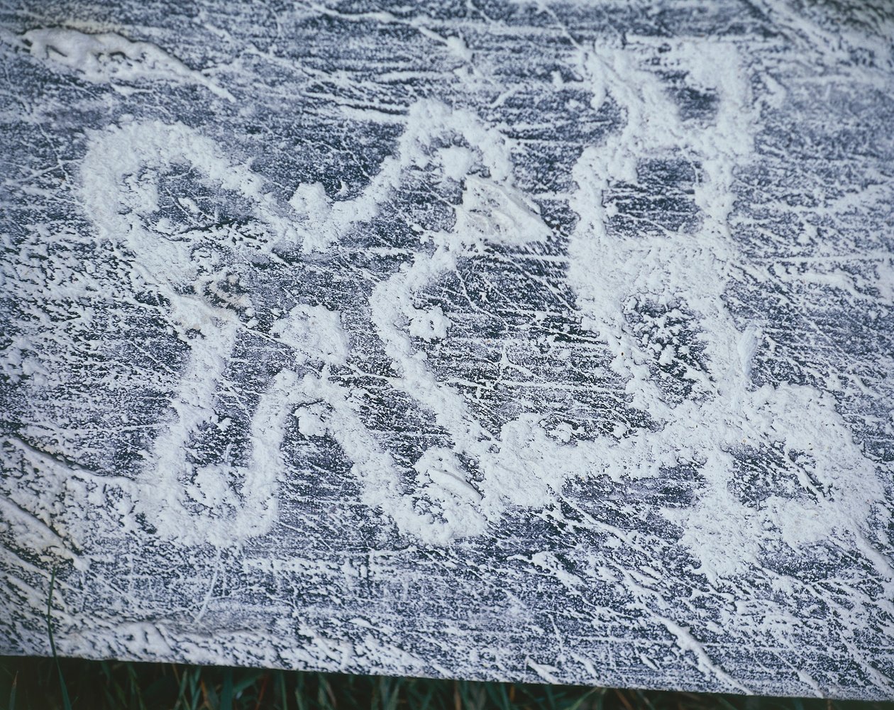 Camunian gülü, Valcamonica Vadisi
