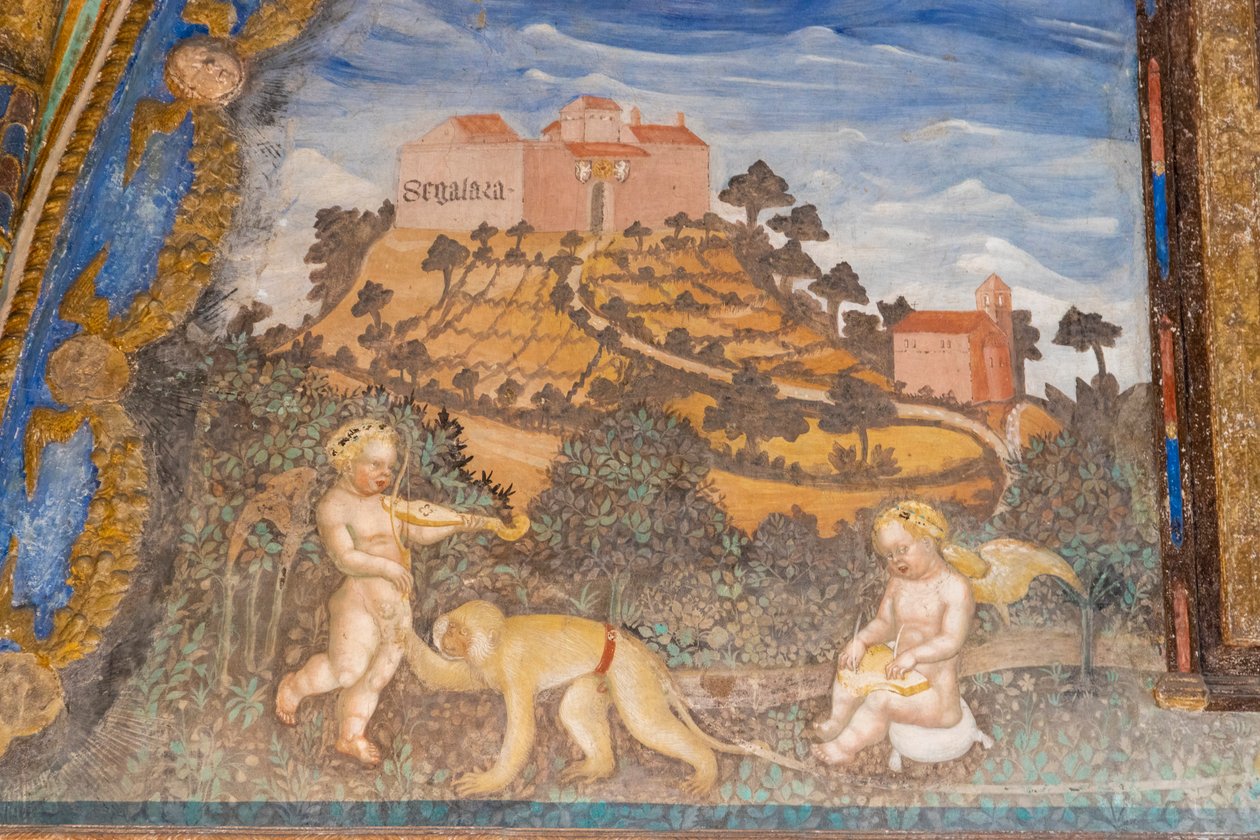 Torrechiara Kalesi, Camera d