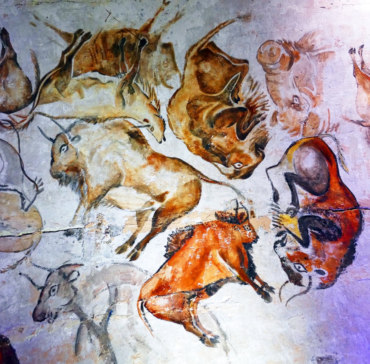 Altamira Mağarası'nda bulunan mağara resimleri (fotoğraf) by Unbekannter Künstler