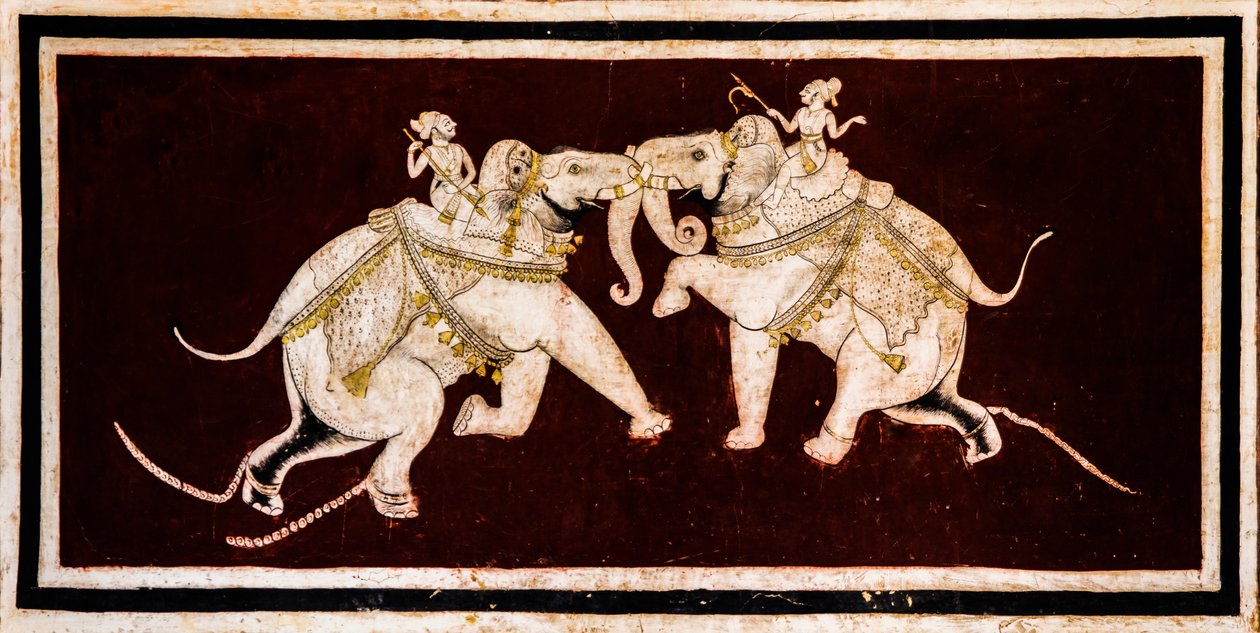 Virtüöz ince tablolarla Chittra Shala avlusu, Taragarh Kalesi, Bundi, Bundi, Rajasthan, Hindistan, Asya (fotoğraf) by Unbekannter Künstler