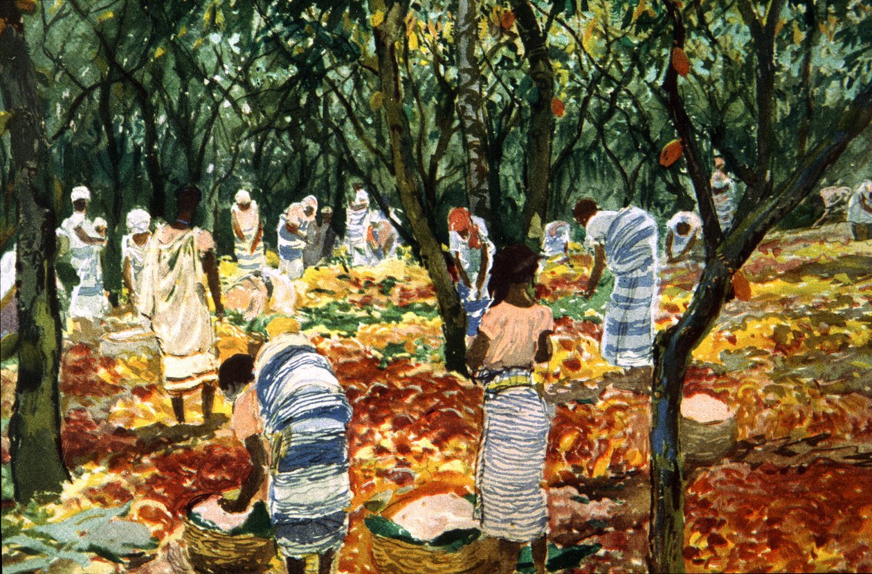 Sao Tome'de kakao hasadı, 1910-20 dolayları (renkli litho) by Unbekannter Künstler