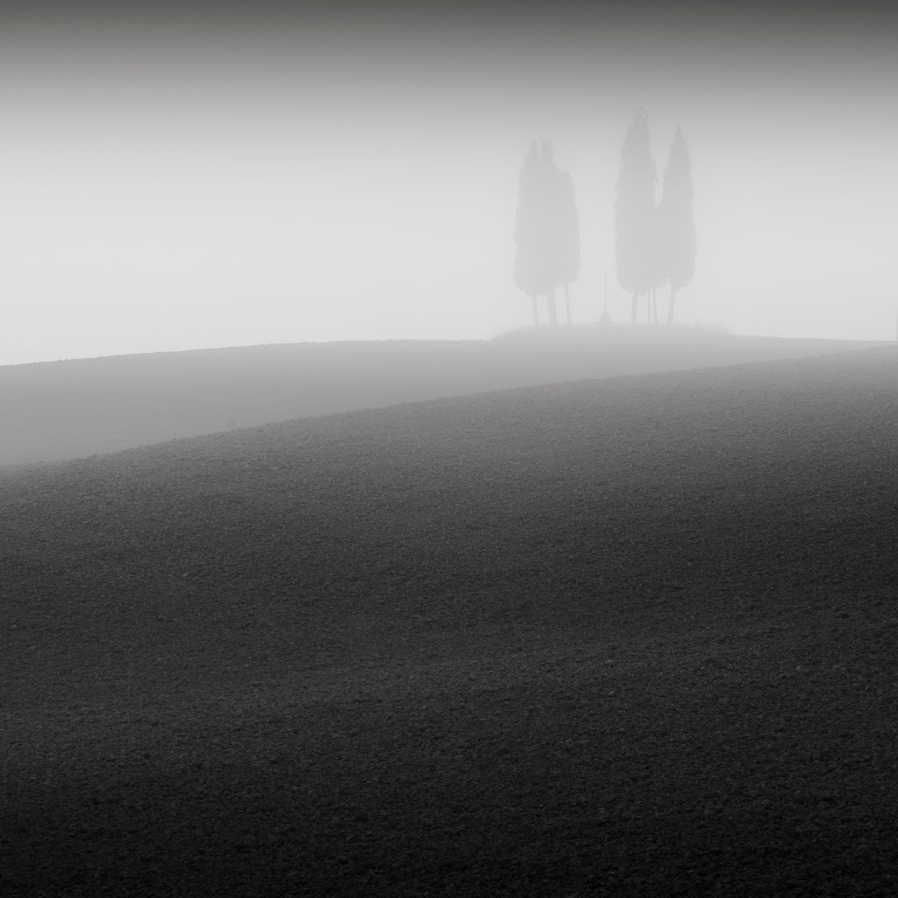 Konferans, Toskana, İtalya, 2015 (s/b fotoğraf) by Leopold Blonder