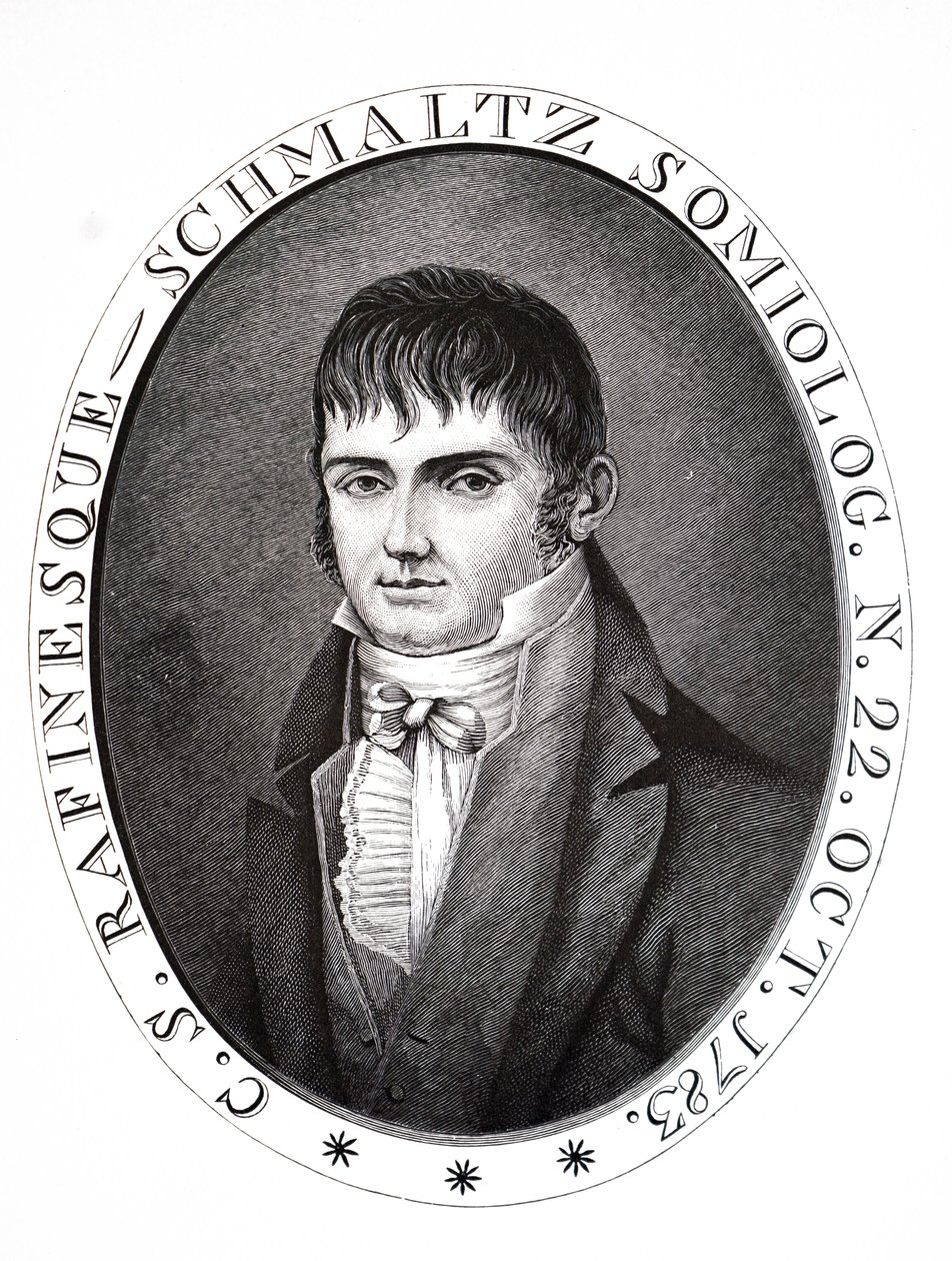Konstantin Samuel Rafinesque. by Unbekannt