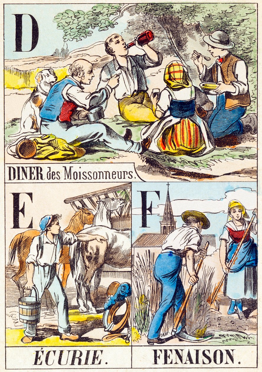 D EF: Diner des Moissonneurs, Ecurie, Fenaison - "Çiftliğin alfabesi" 19. yüzyıl sonu (gravür) by Unbekannt