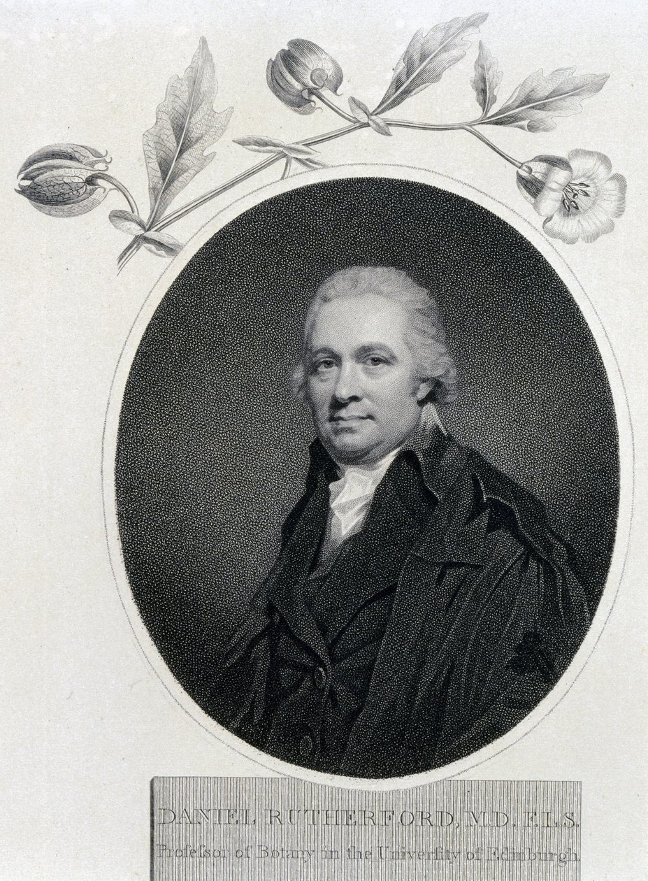 Daniel Rutherford, İskoç kimyager ve botanikçi, 19. yüzyılın başlarında by Unbekannt