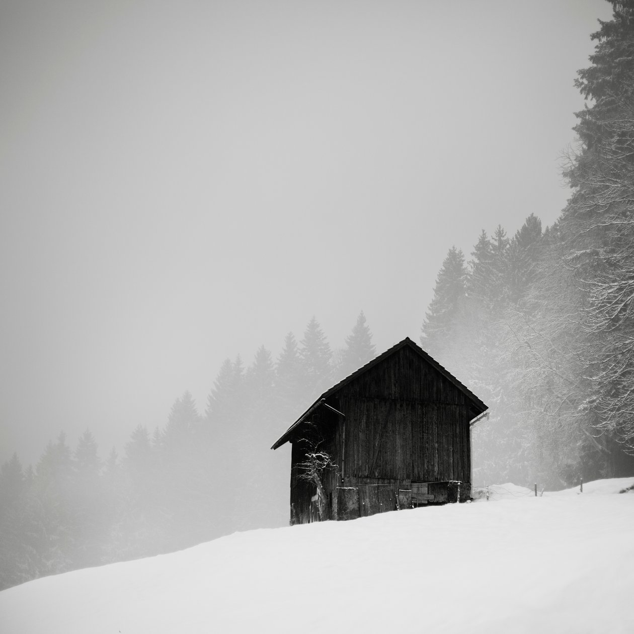 Açıklığın sırrı, Oberstaufen, Almanya, 2013 (s/b fotoğraf) by Leopold Blonder