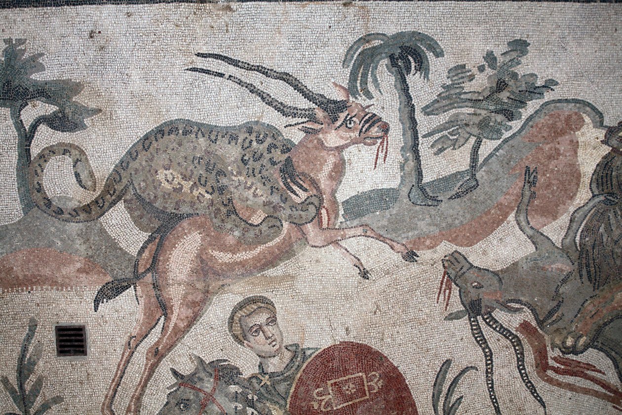 Büyük av mozaiğinin detayı. Bir ceylana saldıran bir leopar. 3. - 4. yüzyıl. Casale, Sicilya