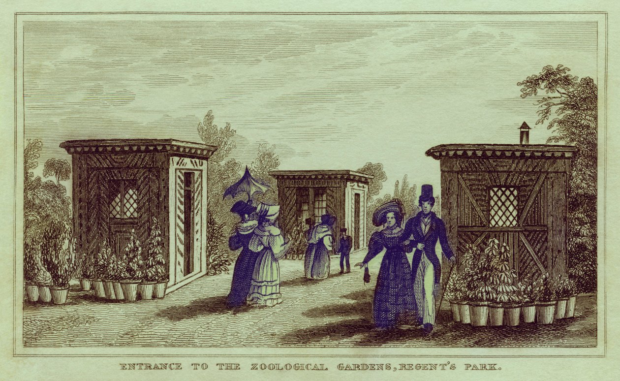 Regent