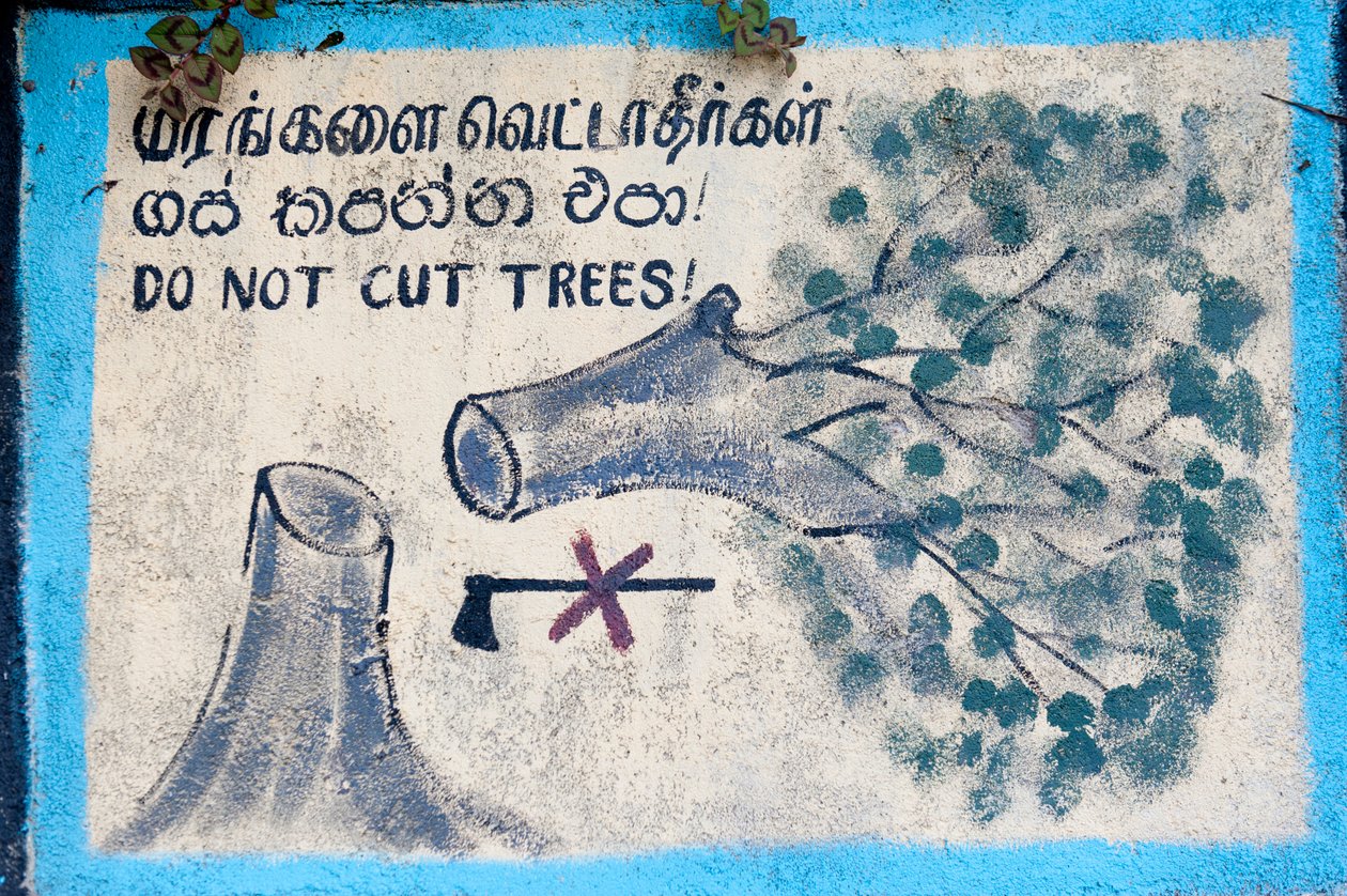 Çevresel koruma; boyalı işaret; “””Ağaçları kesmeyin”””””, kesilen bir ağacı ve üzeri çizili bir baltayı tasvir ediyor; Nuwara Eliya; Sri Lanka; Asya by Unbekannt