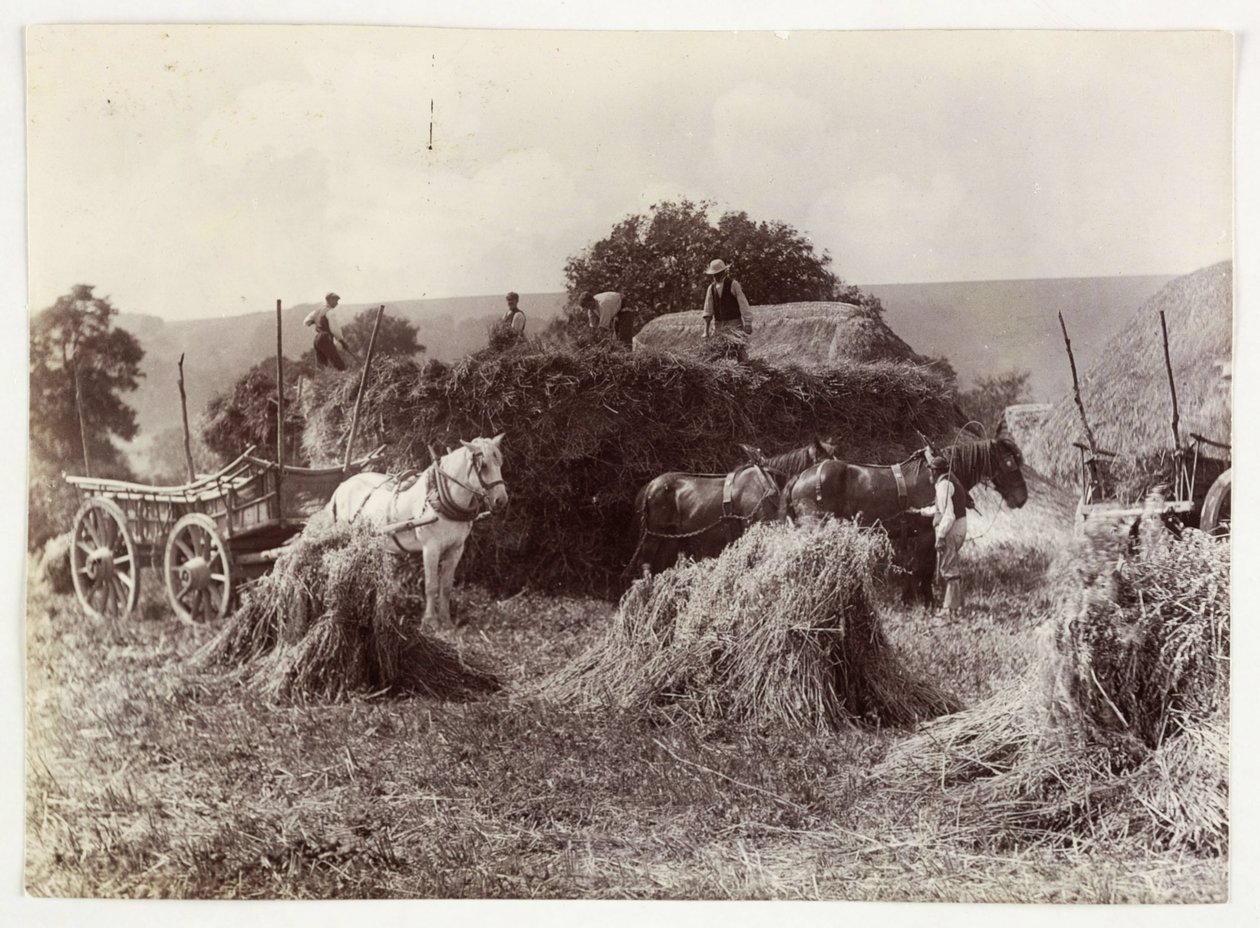Tarım Sahneleri, Hasat ve Depolama, 1900 Öncesi Hasat, c 1890 by Unbekannt