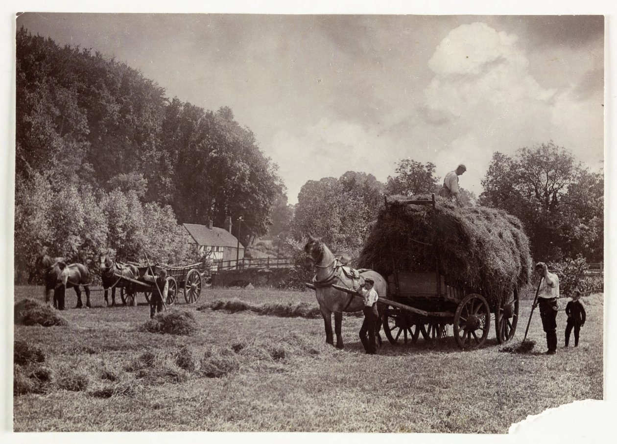 Tarım Sahneleri, Hasat ve Depolama, 1900 Öncesi Saman Yapımı, c 1890 by Unbekannt
