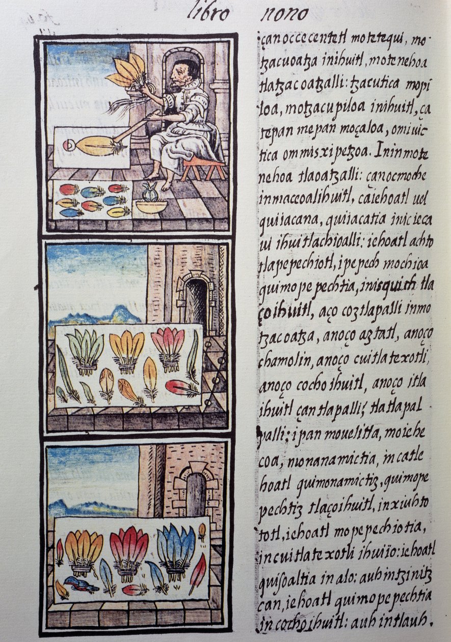 İspanyol fethinden sonra tüy işleme, Florentine Codex