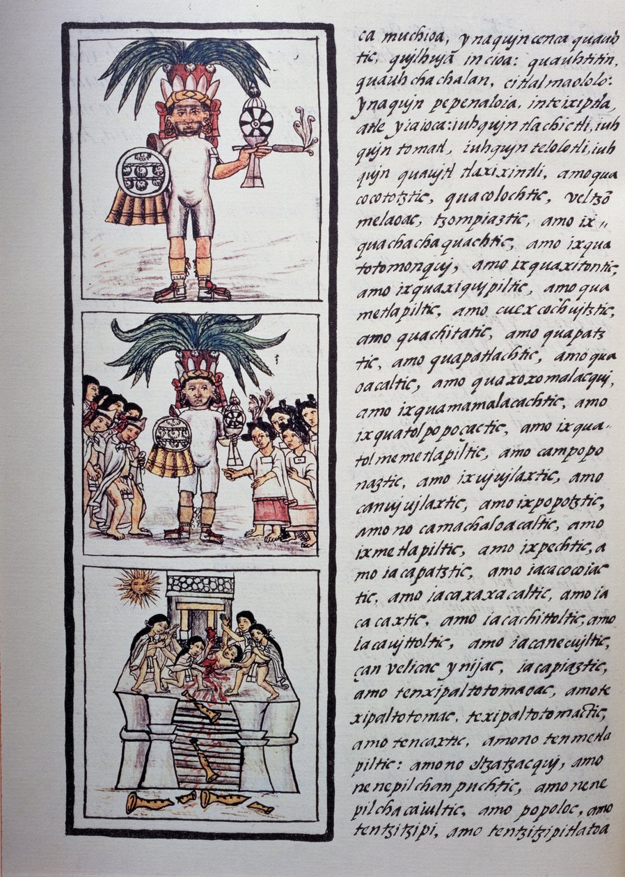 Toxcatl Festivali ve kurbanı, Florentine Codex
