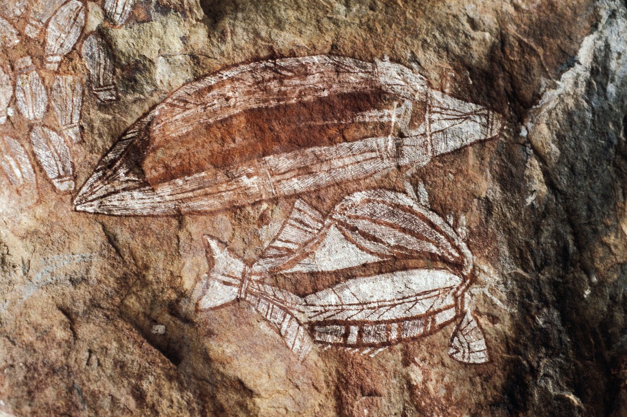 Balık, kaya resmi, Arnhem Land, Kuzey Bölgesi, Avustralya, Aborjin kültürü by Benjamin Baud