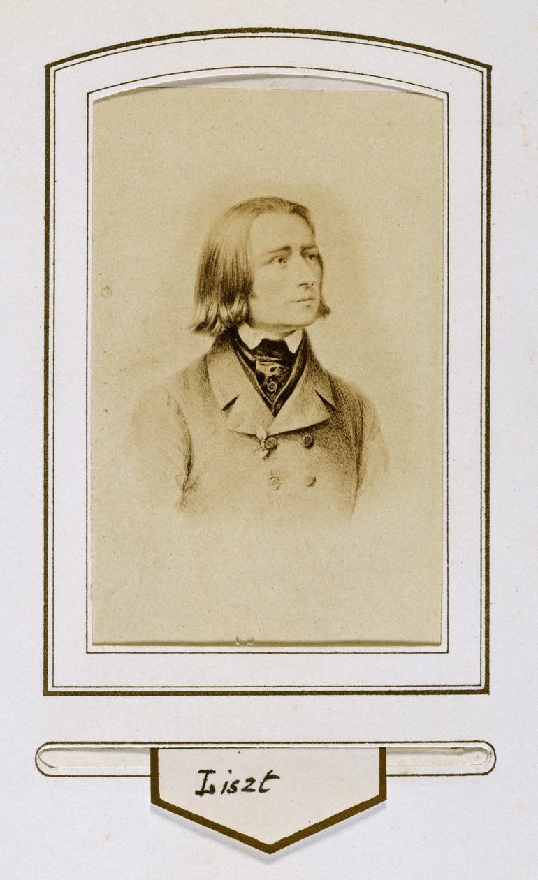Franz Liszt gençken by Unbekannter Künstler