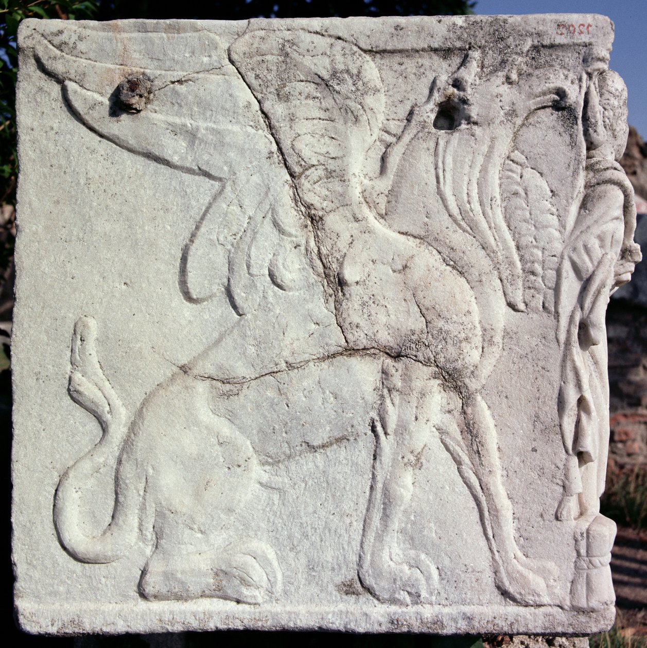 Bir Griffin (taş) oyma kabartmalı cenaze vazosu by Unbekannt