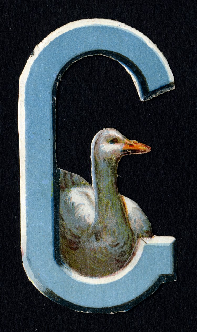 Goose gibi. Hayvanlar konulu böcek oymacılığı. Oymak. İngiliz menşeili 26 waffle kromolitograf serisi. Editör ve illüstratör bilinmiyor. 19. yüzyılın sonu. Karartma: 5,5x3,5cm by Unbekannt