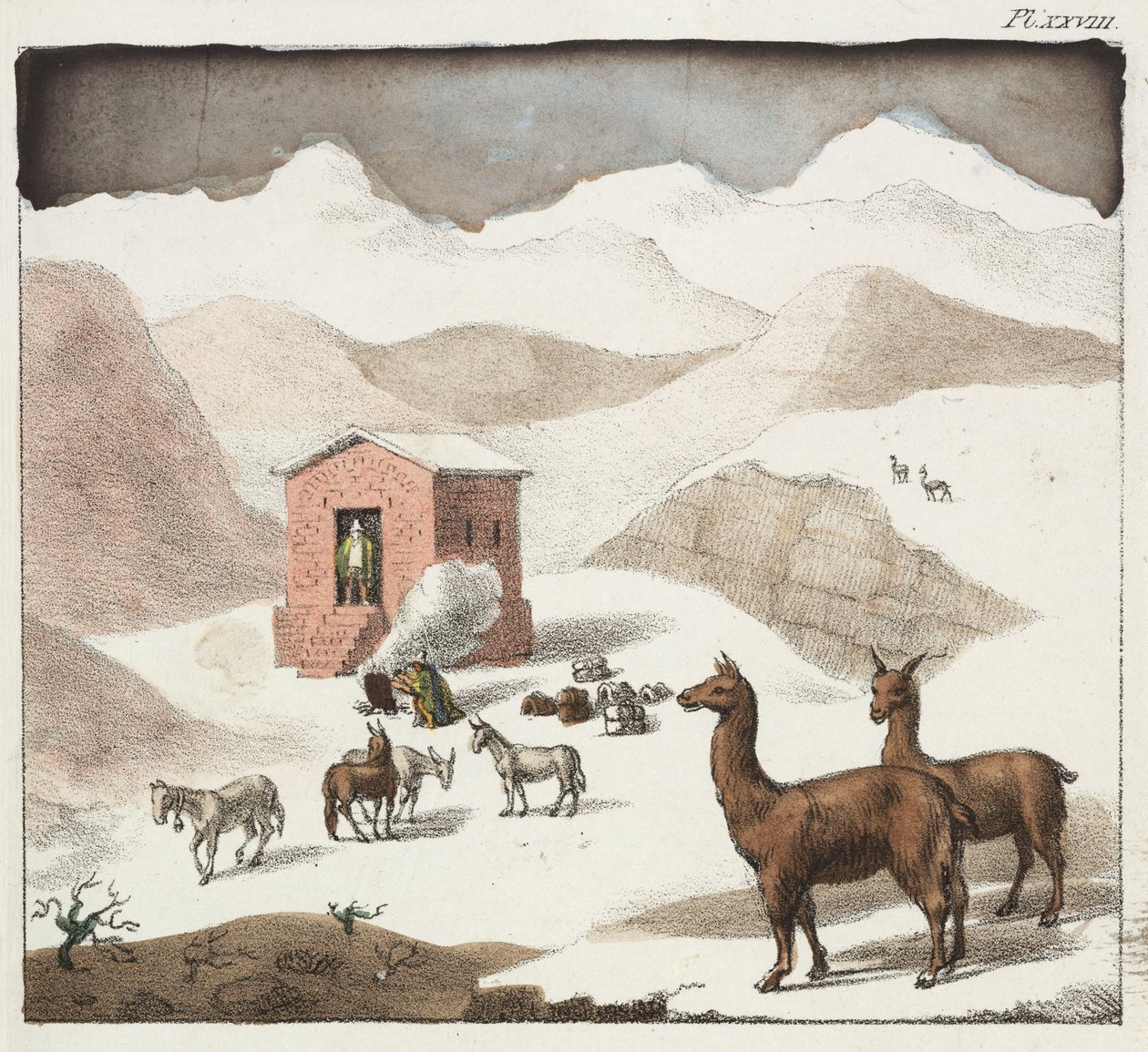 Guanacos, Mağaralar Vadisi, And Dağları, Şili by Unbekannter Künstler