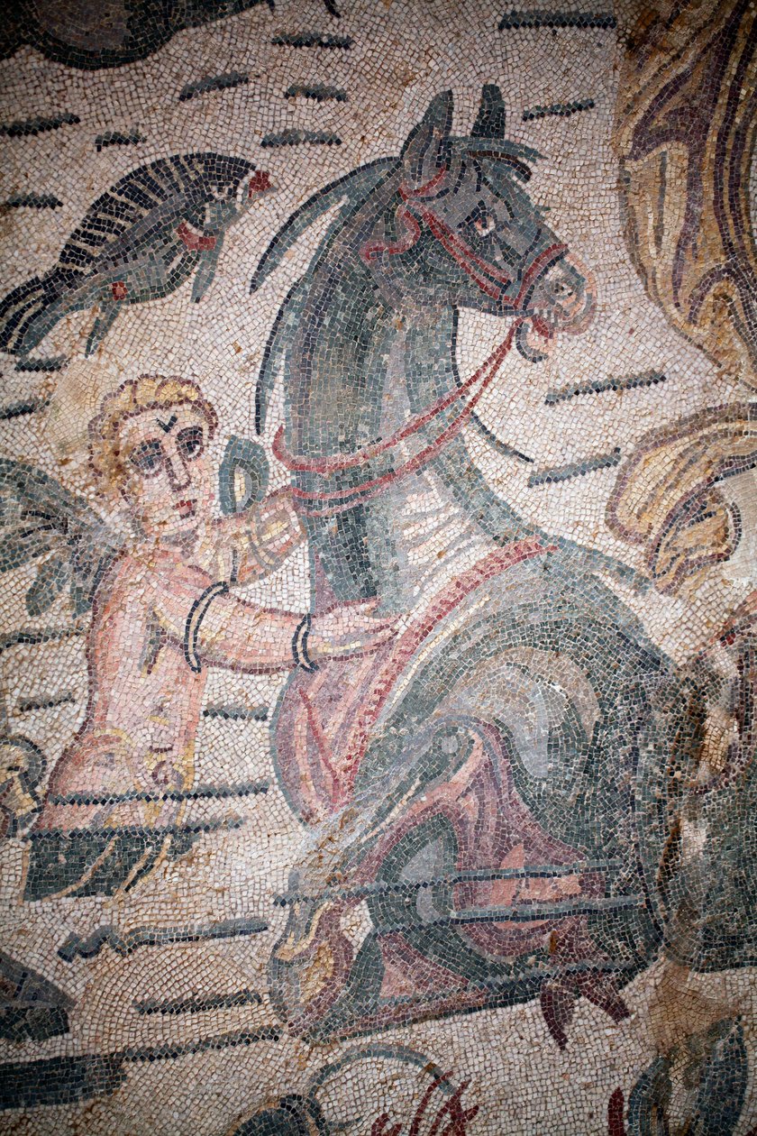 Arion Salonu. Deniz sahnesi. Deniz canlıları. Nereides ve tritonlar. 3. - 4. yüzyıl. Casale, Sicilya