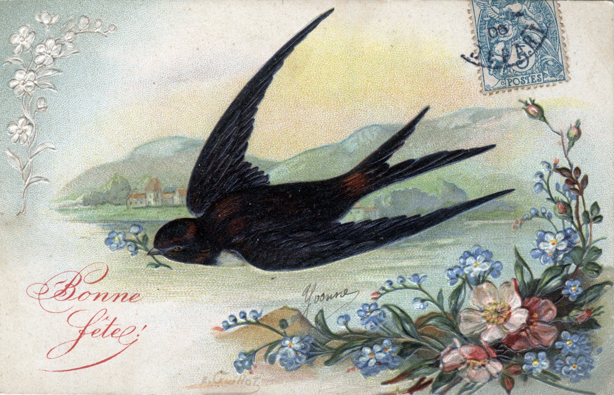 Mutlu Doğum Kartı: Çiçek getiren kırlangıç - 1906 tarihli kartpostal by Unbekannt