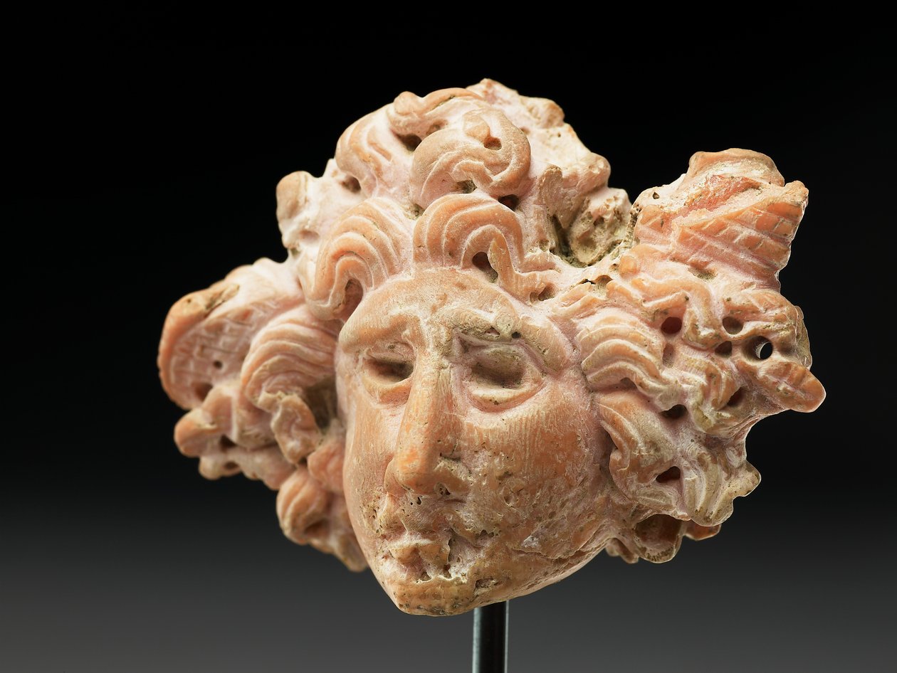 Medusa