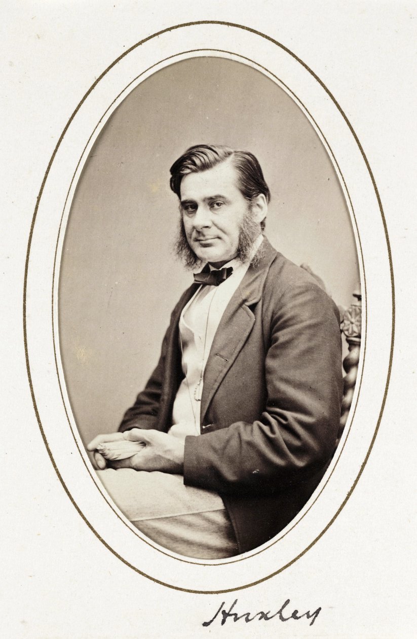 Huxley', yaklaşık 1865 by Unbekannt