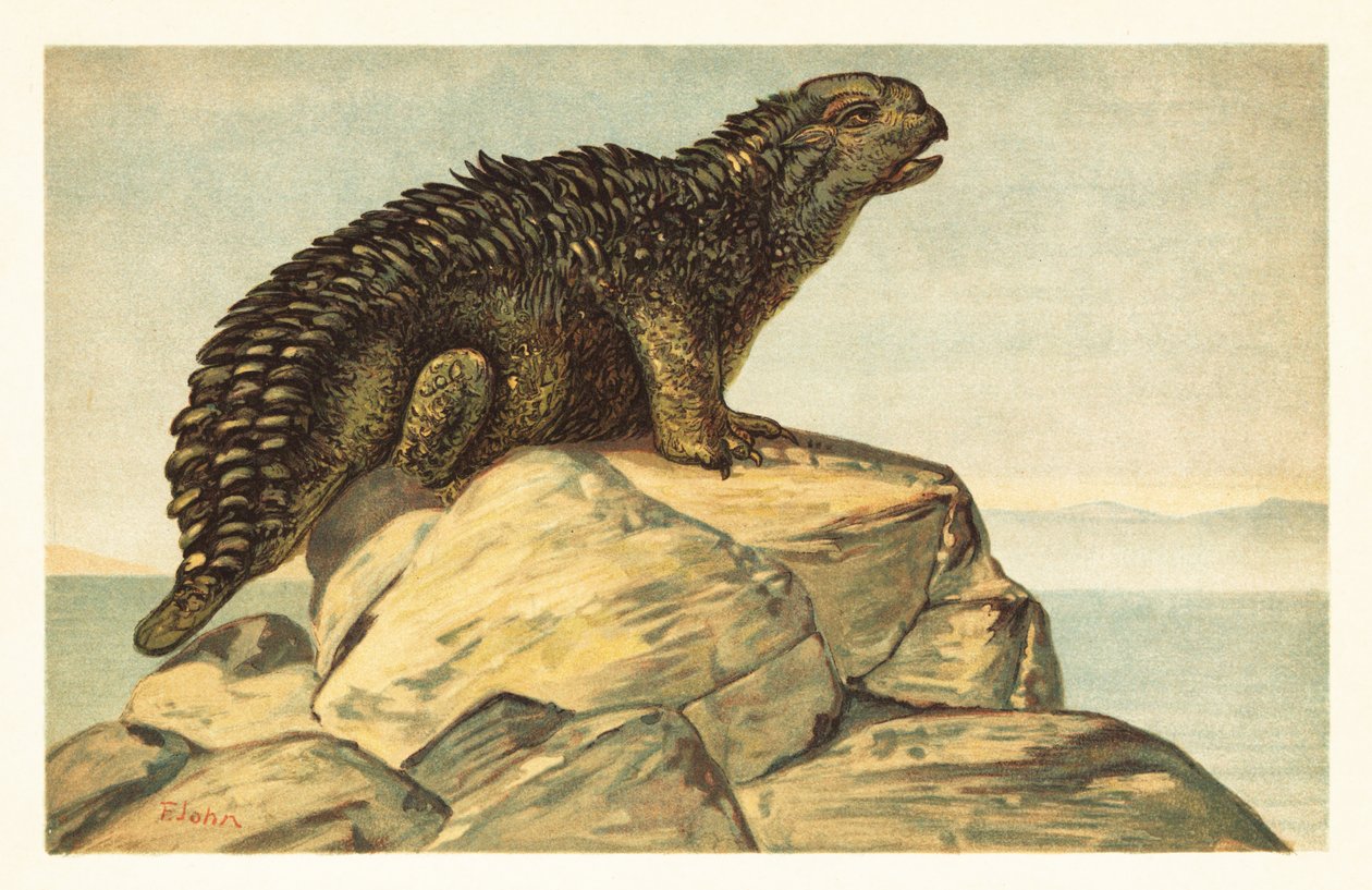 Hylaeosaurus armatus, soyu tükenmiş otçul ankylosaurian dinozor 1908 (litografi) by Unbekannter Künstler