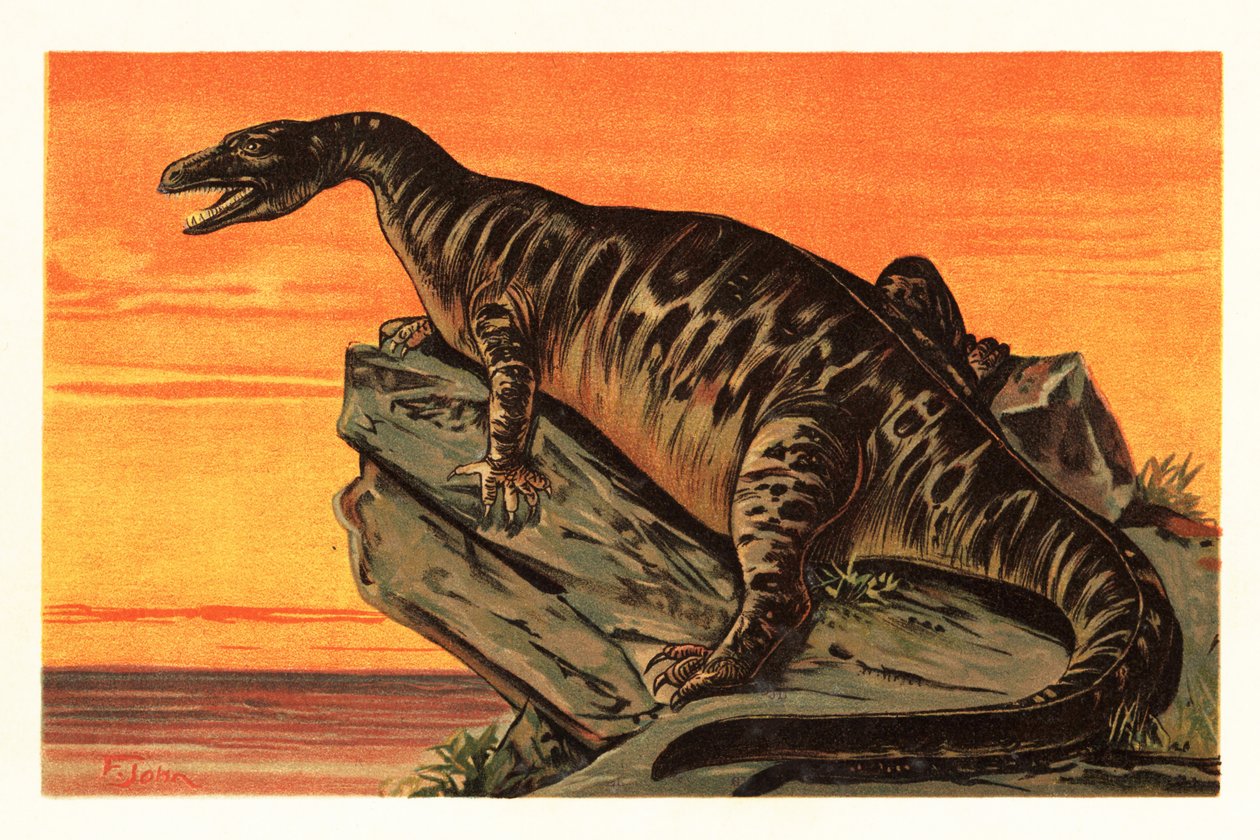Iguanodon bernissartensis, soyu tükenmiş Iguanodontian dino1908 türleri (litografi) by Unbekannter Künstler