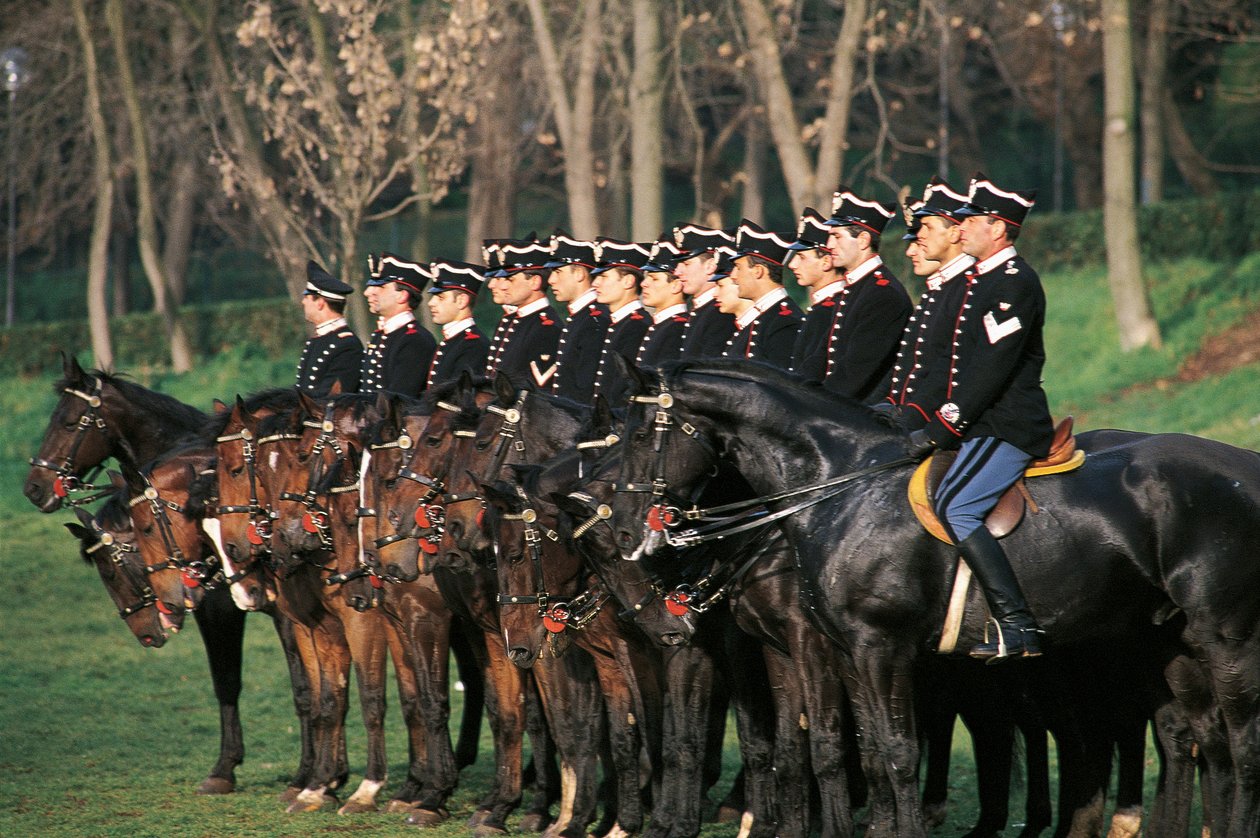 İtalya, Cuirassiers Squadron at sırtında sırada duruyor by William M. Timlin