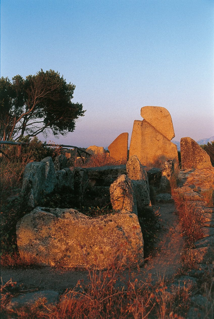 İtalya, Sardunya, Arzachena, Olbia-Tempio eyaleti, Li Longhi Giants