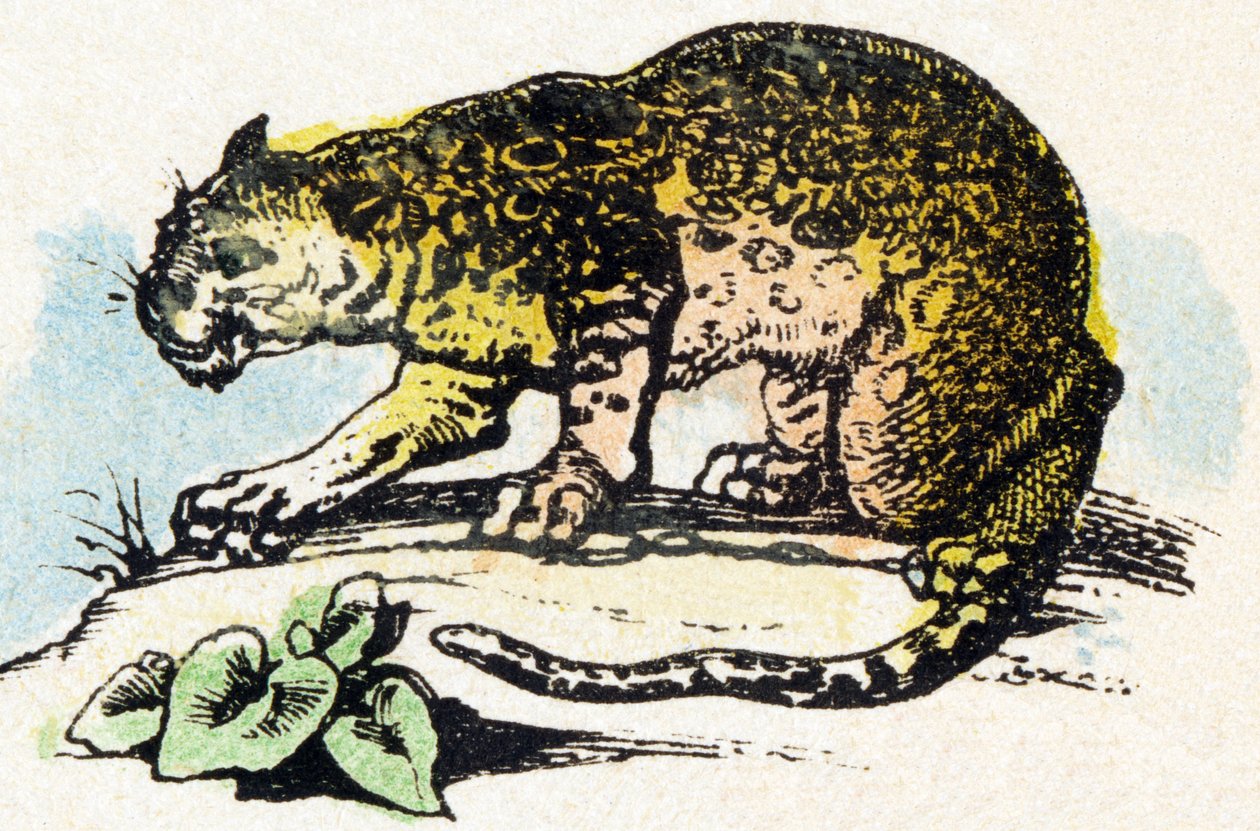 J - Jaguar - Alfabe - çocuk eğlencesi - Görüntü epinal, popüler seri c.1890 (illüstrasyon) by Unbekannt