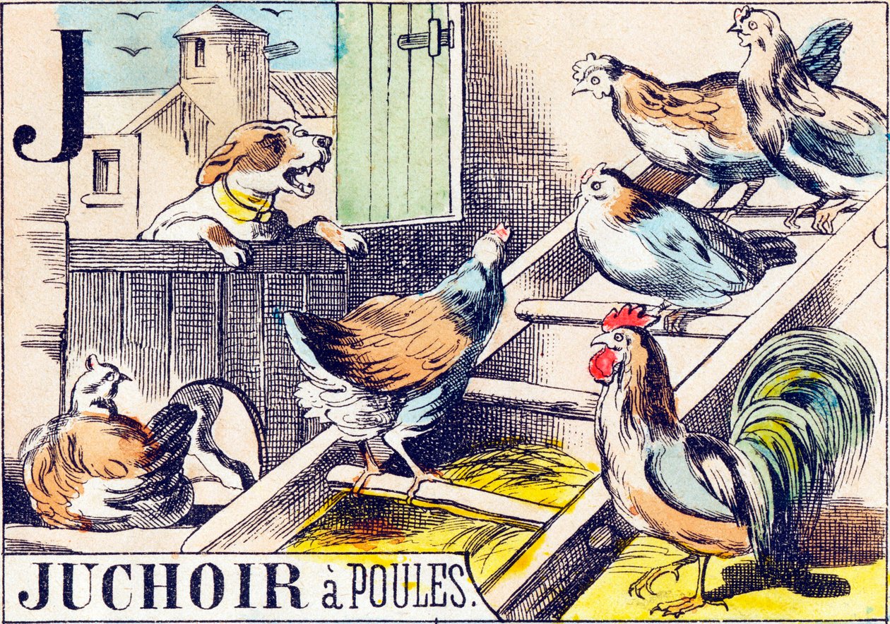 J Juchoir a poules - "Çiftliğin alfabesi" 19. yüzyılın sonu (gravür) by Unbekannt