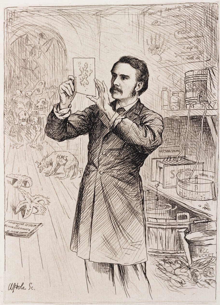 James Cossar Ewart, zoolog by Unbekannt